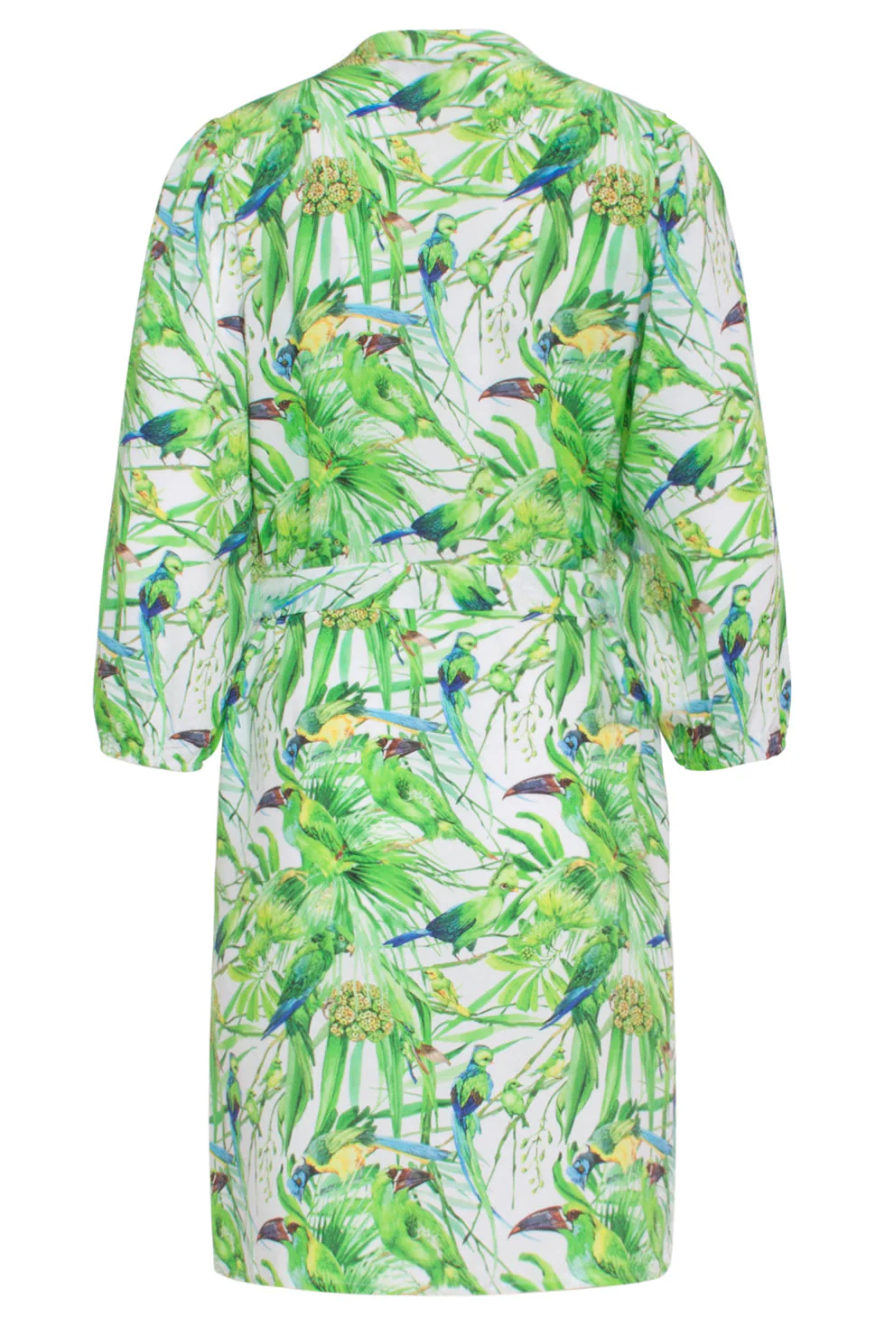 24058 Bird Print Jurk Met V-Hals | White - Light Green - Image 7