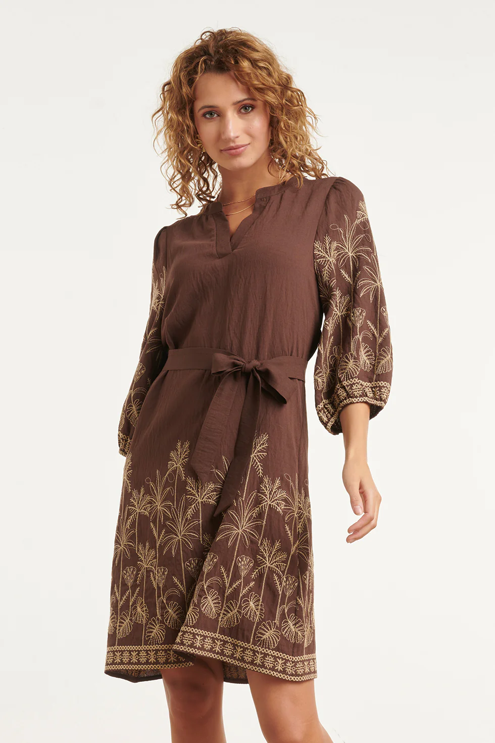 Bruine Jurk Met Goudkleurig Borduursel En Tailleceintuur | Brown