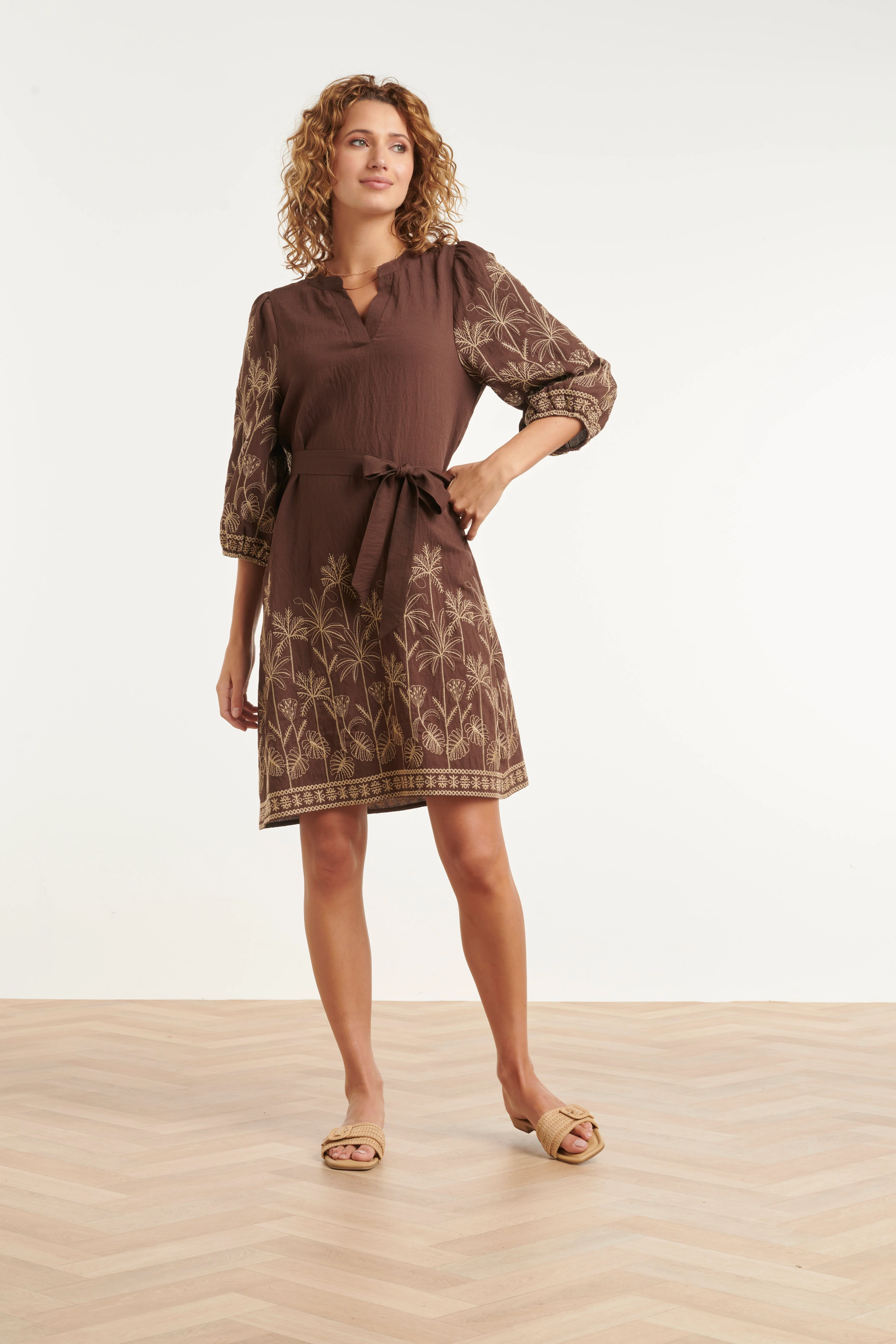 Bruine Jurk Met Goudkleurig Borduursel En Tailleceintuur | Brown - Image 3