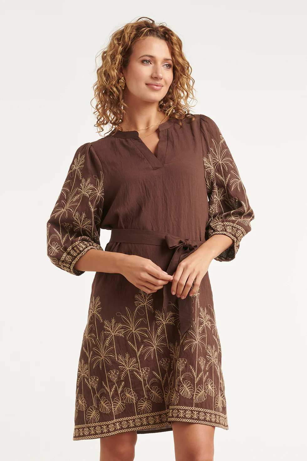 Bruine Jurk Met Goudkleurig Borduursel En Tailleceintuur | Brown - Image 4