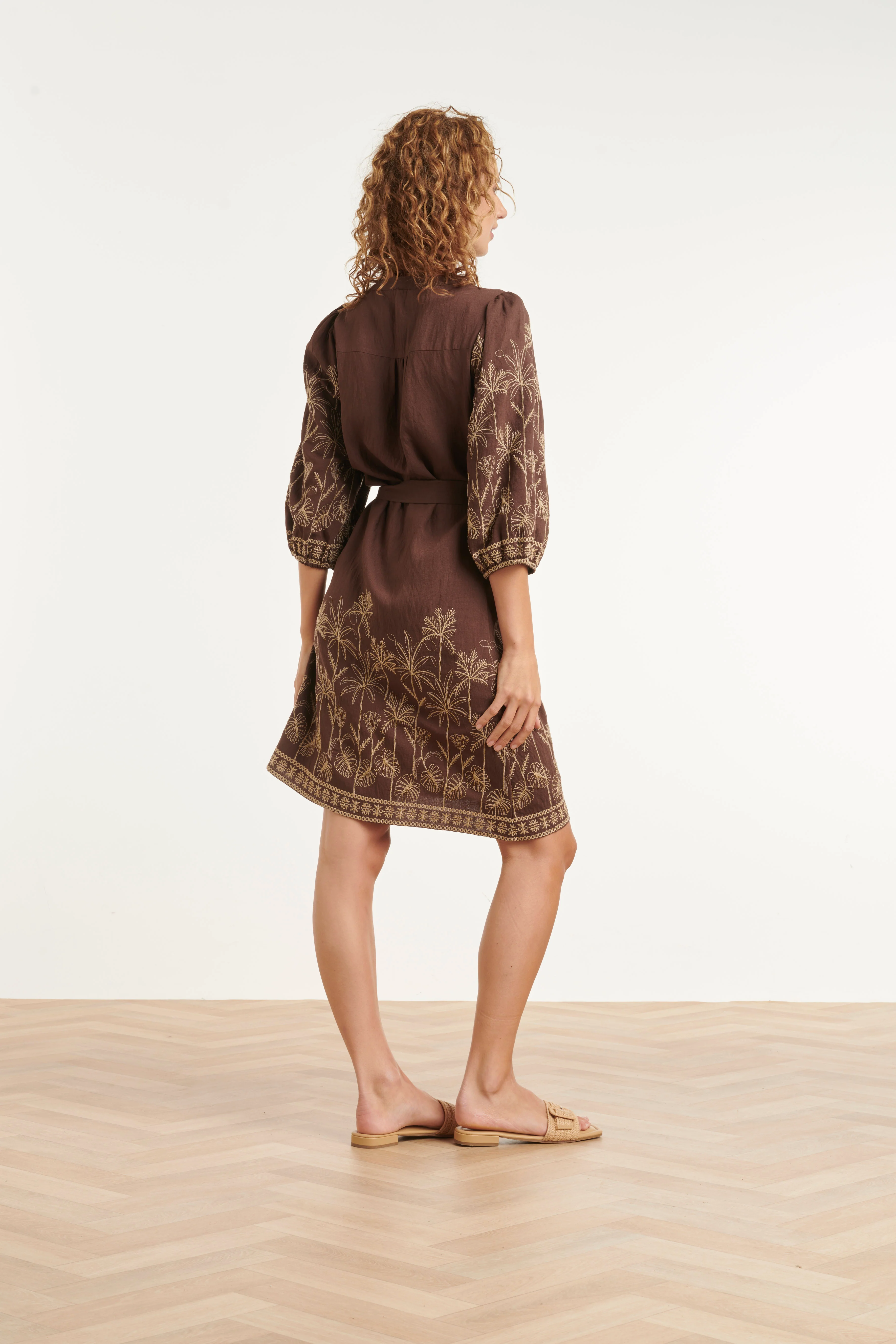 Bruine Jurk Met Goudkleurig Borduursel En Tailleceintuur | Brown - Image 5