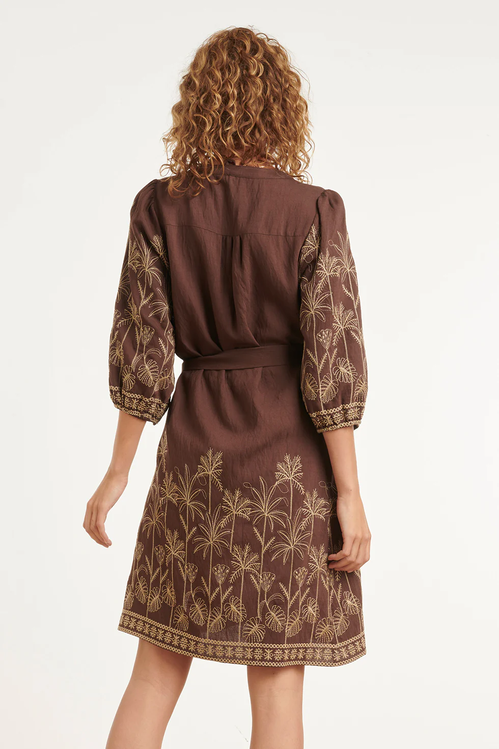 Bruine Jurk Met Goudkleurig Borduursel En Tailleceintuur | Brown - Image 6